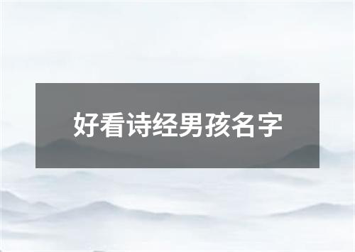 好看诗经男孩名字