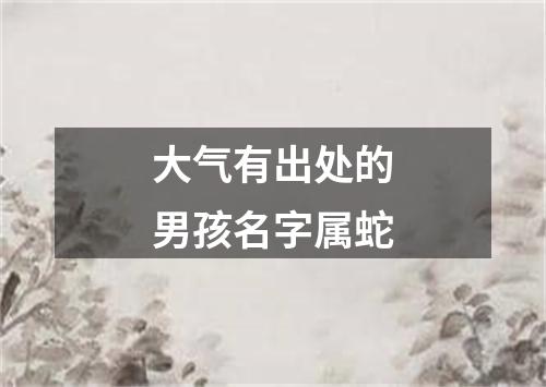 大气有出处的男孩名字属蛇