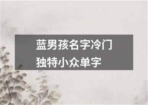 蓝男孩名字冷门独特小众单字