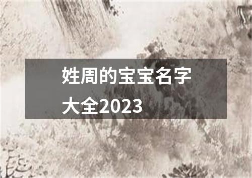 姓周的宝宝名字大全2023