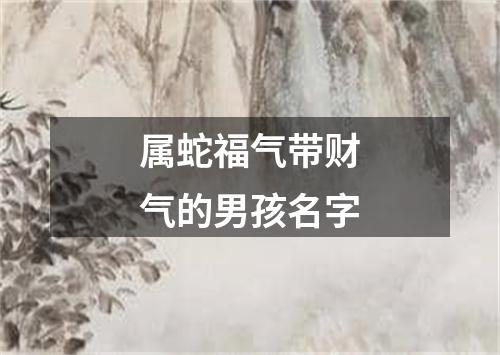 属蛇福气带财气的男孩名字