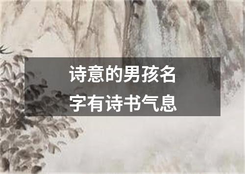 诗意的男孩名字有诗书气息