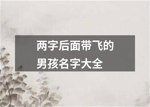 两字后面带飞的男孩名字大全