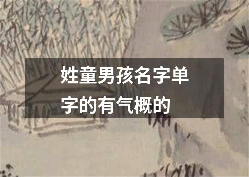 姓童男孩名字单字的有气概的
