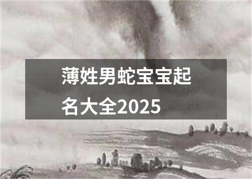 薄姓男蛇宝宝起名大全2025
