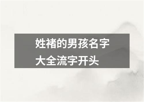 姓褚的男孩名字大全流字开头