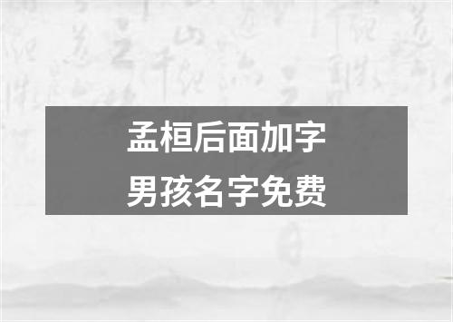 孟桓后面加字男孩名字免费