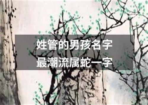 姓管的男孩名字最潮流属蛇一字