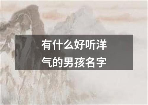 有什么好听洋气的男孩名字