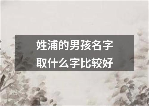 姓浦的男孩名字取什么字比较好