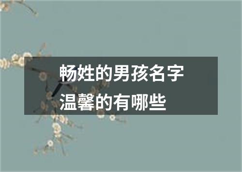 畅姓的男孩名字温馨的有哪些