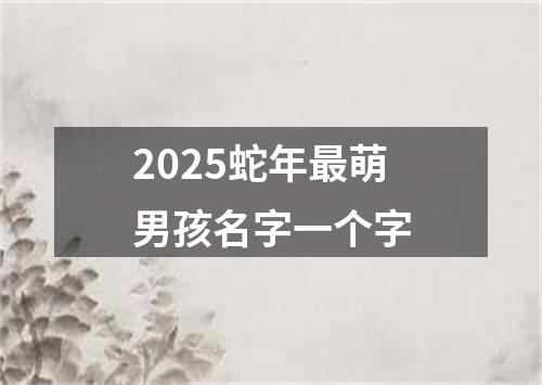2025蛇年最萌男孩名字一个字