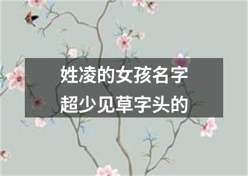 姓凌的女孩名字超少见草字头的