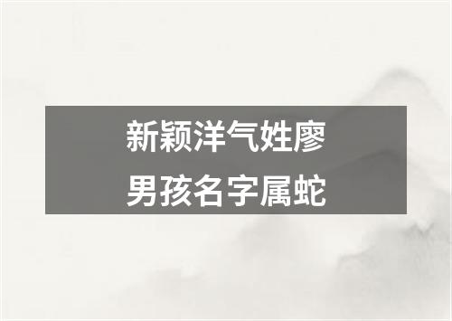 新颖洋气姓廖男孩名字属蛇