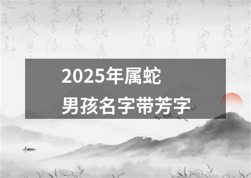 2025年属蛇男孩名字带芳字