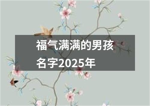 福气满满的男孩名字2025年
