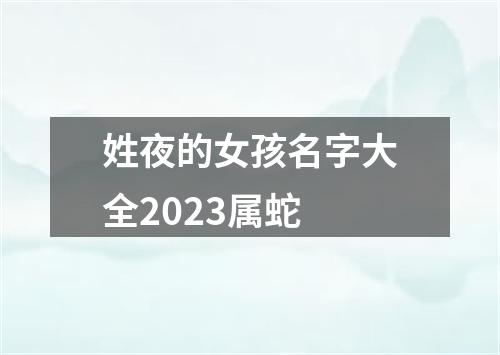 姓夜的女孩名字大全2023属蛇