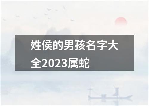 姓侯的男孩名字大全2023属蛇