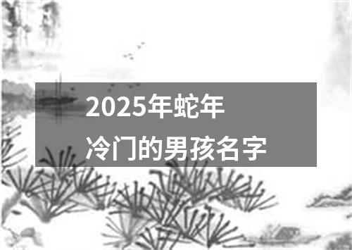 2025年蛇年冷门的男孩名字