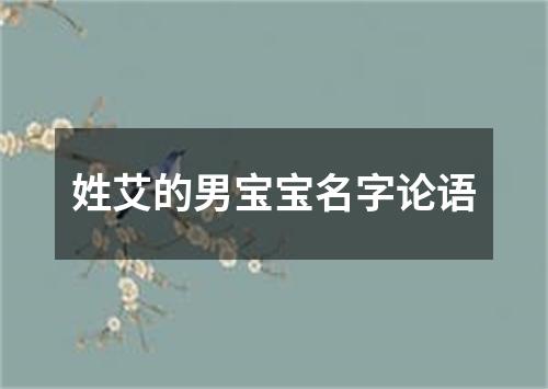 姓艾的男宝宝名字论语