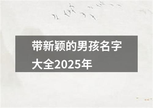 带新颖的男孩名字大全2025年