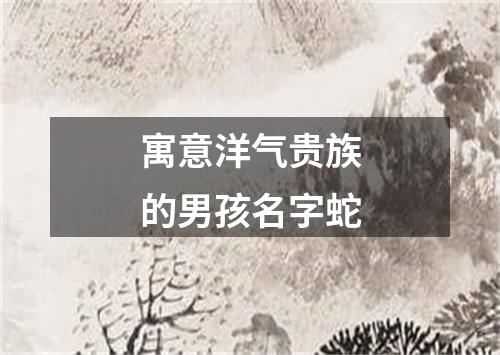 寓意洋气贵族的男孩名字蛇