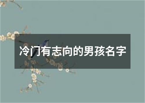 冷门有志向的男孩名字