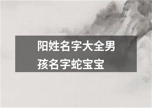阳姓名字大全男孩名字蛇宝宝