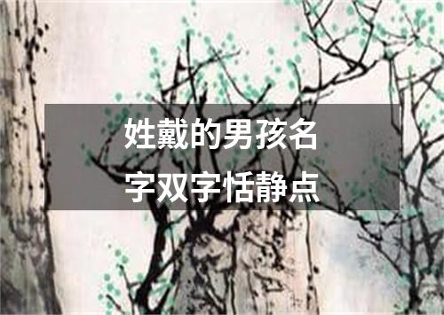 姓戴的男孩名字双字恬静点