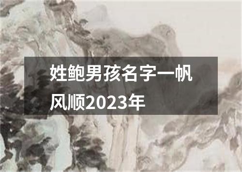 姓鲍男孩名字一帆风顺2023年