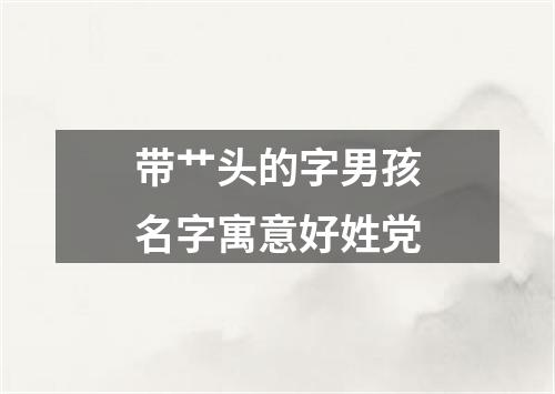 带艹头的字男孩名字寓意好姓党