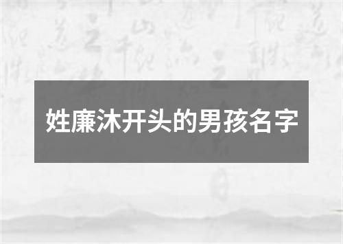 姓廉沐开头的男孩名字