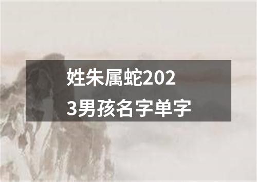 姓朱属蛇2023男孩名字单字