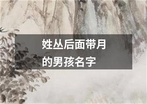 姓丛后面带月的男孩名字