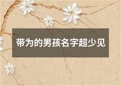 带为的男孩名字超少见