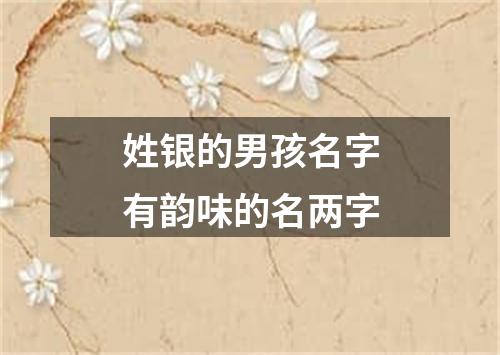 姓银的男孩名字有韵味的名两字