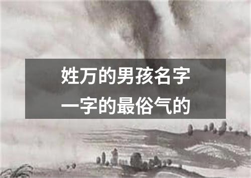 姓万的男孩名字一字的最俗气的
