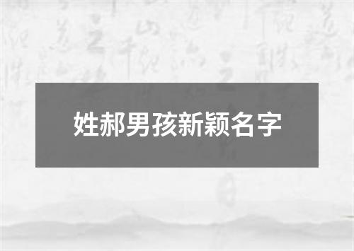 姓郝男孩新颖名字