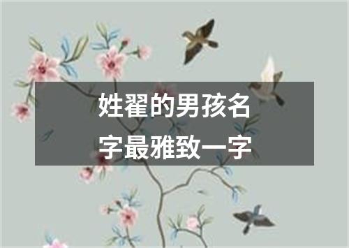 姓翟的男孩名字最雅致一字