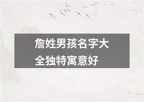 詹姓男孩名字大全独特寓意好