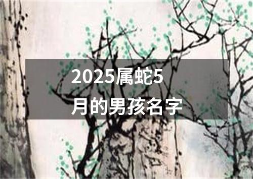 2025属蛇5月的男孩名字