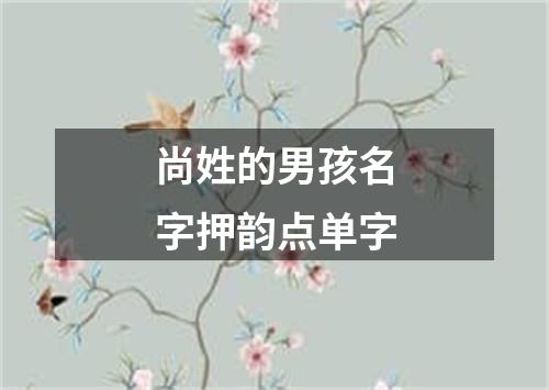 尚姓的男孩名字押韵点单字