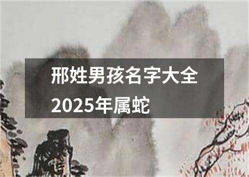 邢姓男孩名字大全2025年属蛇