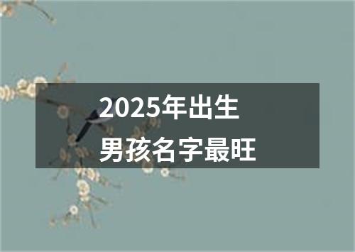 2025年出生男孩名字最旺
