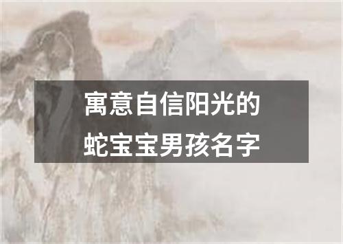 寓意自信阳光的蛇宝宝男孩名字