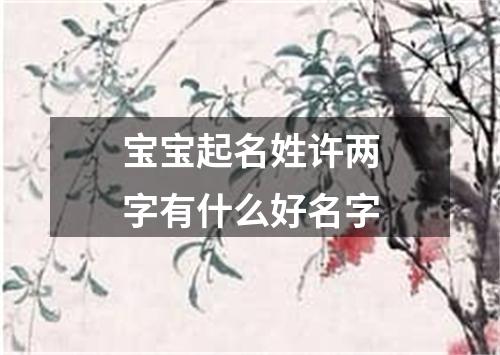 宝宝起名姓许两字有什么好名字