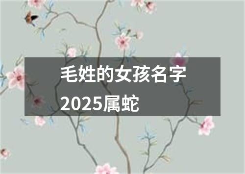 毛姓的女孩名字2025属蛇