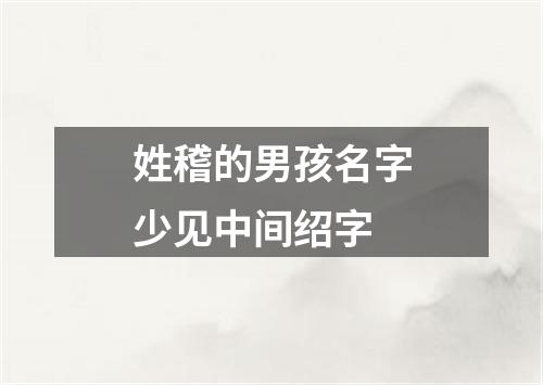 姓稽的男孩名字少见中间绍字