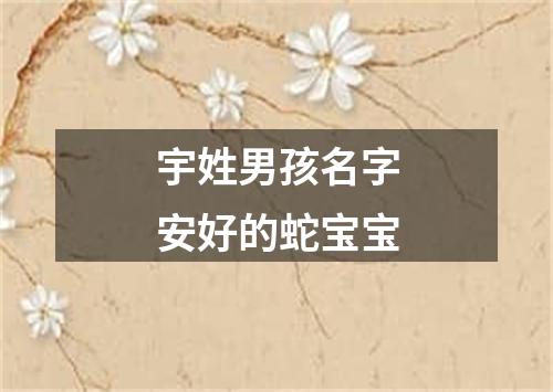 宇姓男孩名字安好的蛇宝宝
