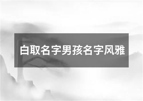 白取名字男孩名字风雅